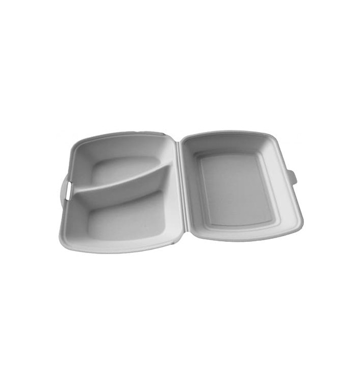 Boîte en FOAM 2 Compartiments 240x210x70mm (200 Unités) Boîte en FOAM 2 Compartiments 240x210x70mm (200 Unités)