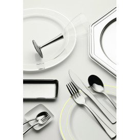 Assiette en Plastique Dur avec Liseré Argent 19cm (200 Utés)