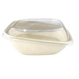 Suikerriet Container "Vision" 750ml 19x19x7cm (300 stuks)