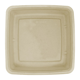 Suikerriet Container 1000ml 23x23x3cm (300 stuks)