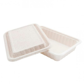 Boîte Canne à Sucre et Couvercle 225x150x40mm (50 Utés)