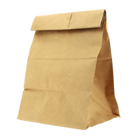 Papieren zak zonder handvat kraft 22+12x30cm (25 stuks)