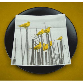 Airlaid Servetten "Albufera" 40x40cm (50 stuks) 
