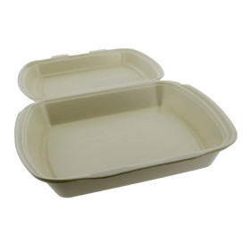 Boîte FOAM MenuBOX 1C Champ. 240x210x70mm (250 Utés)