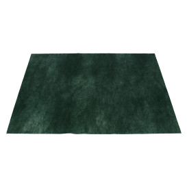 Set de Table en PP Non-Tissé Vert 30x40cm 50g (500 Utés)