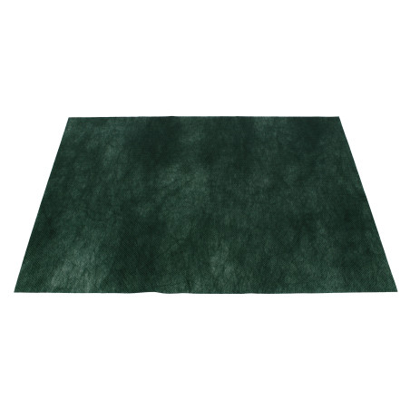 Set de Table en PP Non-Tissé Vert 30x40cm 55g (500 Utés)