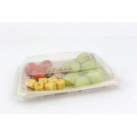 Emballage en Canne à Sucre 20x14cm (50 Utés)