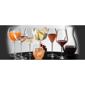 Plastic herbruikbaar glas Wijn "Tritan" transparant 510ml (6 stuks)