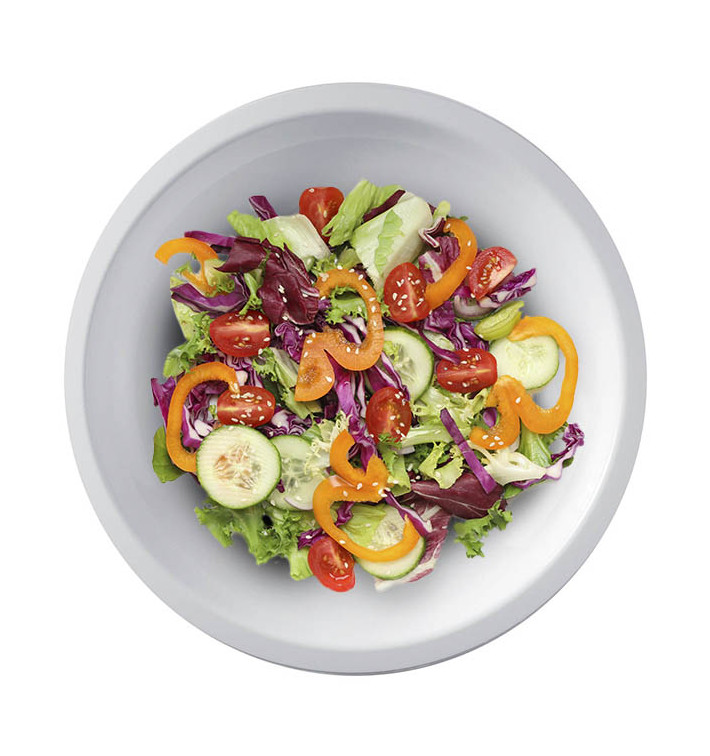 Assiette en plastique dur réutilisable