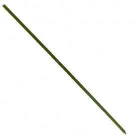 Bamboe vleespennen Naturel groen 15cm (5000 stuks)