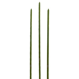 Bamboe vleespennen Naturel groen 25cm (200 stuks) 