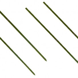 Bamboe vleespennen Naturel groen 25cm (200 stuks) 