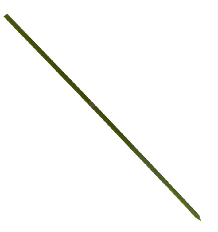 Bamboe vleespennen Naturel groen 25cm (5000 stuks) Bamboe vleespennen Naturel groen 25cm (5000 stuks)