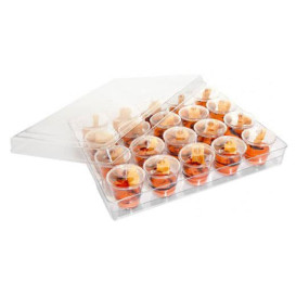 Kit Plateau et Couvercle + Support et 20 Bols Ronds (1 Kit)