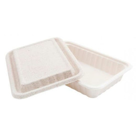 Boîte Canne à Sucre et Couvercle 225x150x40mm (50 Utés)