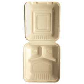 Boîte en Canne à Sucre Naturelle 3C 20x20x7,5cm (50 Utés)