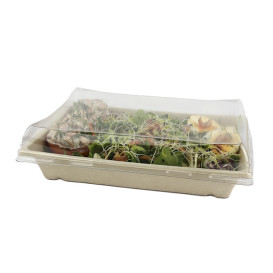 Suikerriet dienblad met Deksel 750ml 22x16x6cm (15 stuks) 