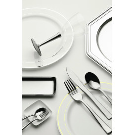 Assiette en Plastique Dur avec Liseré Argent 19cm (10 Utés)