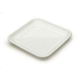 Kit Dégustation Plastique Assiette et Plateau 20 pièces (1 Kit)