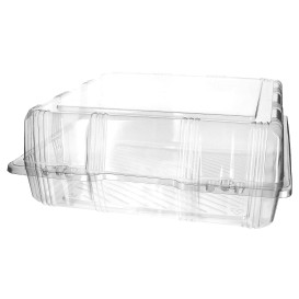 Plastic scharnierende bakkerij Container PET 25x25x10cm (20 stuks) 