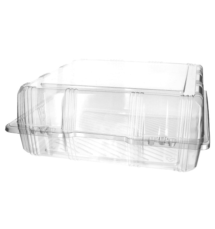 Plastic scharnierende bakkerij Container PET 25x25x10cm (20 stuks) 