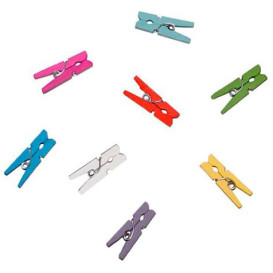 Pince en Bambou Buffet Assortiment 2,5cm (100 Unités)