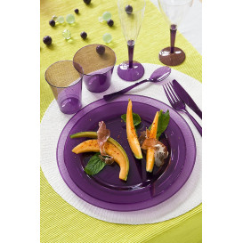 Plastic bord Rond vormig extra sterk aubergine kleur 23cm (6 stuks) 