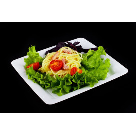 Assiette carrée Plastique dur blanc 22,5x22,5cm (20 Utés)