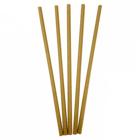 Paille Droite Papier Kraft Ø6mm 20cm (100 Unités)