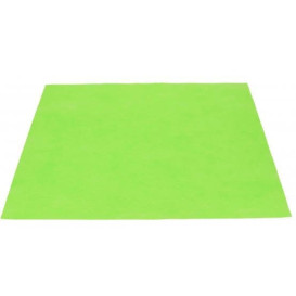Set de Table en PP Non-Tissé Pistache 35x50cm 50g (500 Utés)