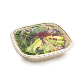 Suikerriet kom Naturel Vierkant 2250ml 27cm (25 stuks)