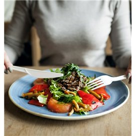 Stof gebaseerd op Maizena CPLA afbreekbare mes wit 16cm (1000 stuks)