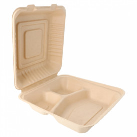 Boîte en Canne à Sucre Naturelle 3C 20x20x7,5cm (50 Utés)
