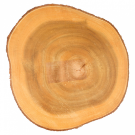 Plateau Rond Présentation en Bois Ø230x35mm (6 Utés)