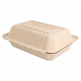Boîte Canne à Sucre Naturel 165x225x64mm 1000ml (50 Utés)