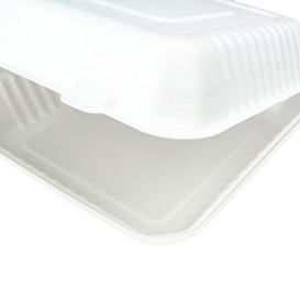 Suikerriet Gescharnierd Container + PLA wit 23x23x7,5cm (200 stuks)