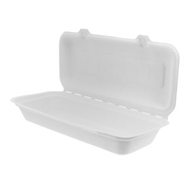 Suikerriet Gescharnierd Panini Container 29x27,3x3,75cm (50 stuks) 