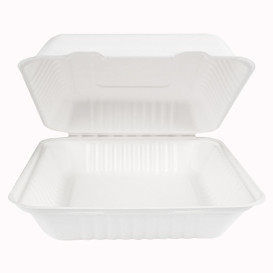 Suikerriet Gescharnierd Container + PLA wit 23x23x7,5cm (200 stuks)
