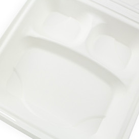 Suikerriet Gescharnierd Container wit 3C 23x15x7,5cm (50 stuks)