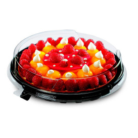 Plastic Cakeplak Container APET Zwart Ø18cm (210 Stuks)