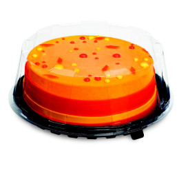 Plastic Cakeplak Container APET Zwart Ø24cm (10 Stuks)