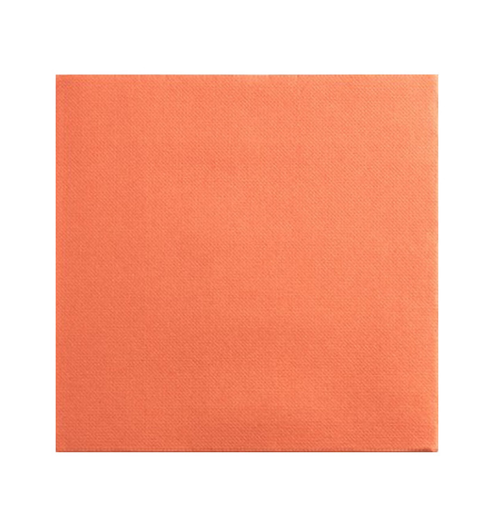 Serviette Papier Terracota 2E Molletonnée 33x33cm (50 Utés) Serviette Papier Terracota 2E Molletonnée 33x33cm (50 Utés)