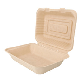 Boîte Canne à Sucre Naturel 165x225x64mm 1000ml (50 Utés)