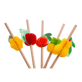 Paille en papier droite assortie de fruits Ø6mm 23cm (24 Uds)