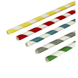 Paille en papier droite assortie Palmes Ø6mm 24cm (100 Utés)