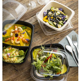 Barquette Plastique PP Noir 600ml 23x16,5cm (75 Utés)