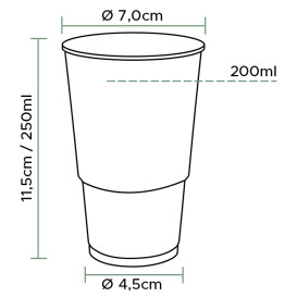 Verre Plastique PP Transparent 250ml (100 Utés)