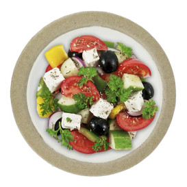 Biologisch afbreekbaar Bagasse Bord Wit Ø17,5cm (10 Stuks)