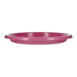 Herbruikbare Bord Economische PS Fuchsia Ø17cm (300 stuks)