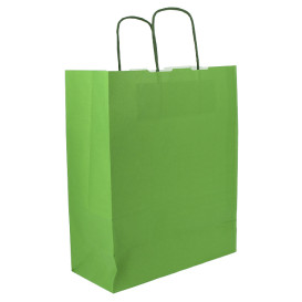 Papieren zak met handgrepen Groen 100g/m² 25+11x31cm (200 stuks) 